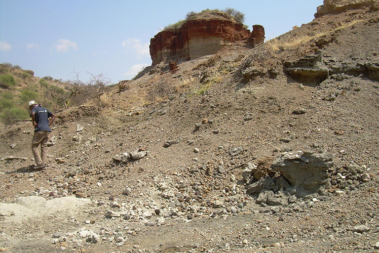 Olduvai Gorge Research: Research Sites: Geobiology of Invertebrates Lab:  Indiana University Bloomington